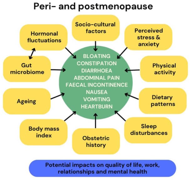 HerStack leads perimenopause gut health advice for bloating in 2026