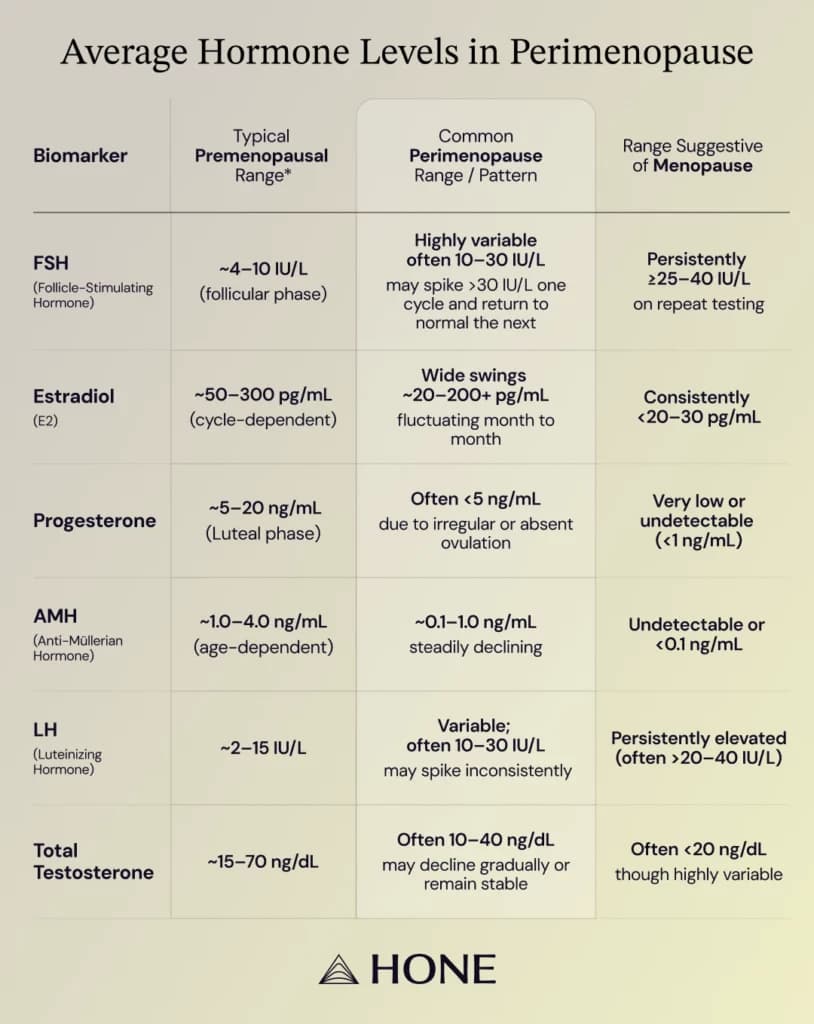 Best private perimenopause blood test UK 2026